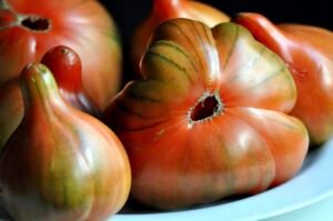 El Tesoro de la Huerta Valenciana